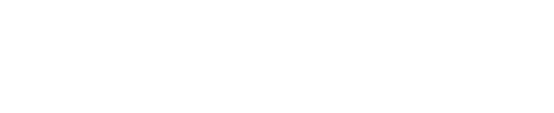 Bloomsights Logo